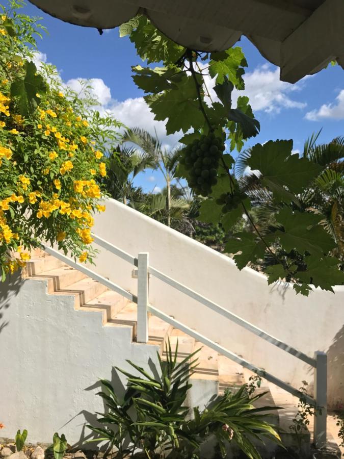 Pousada Papaya Jijoca de Jericoacoara Ngoại thất bức ảnh